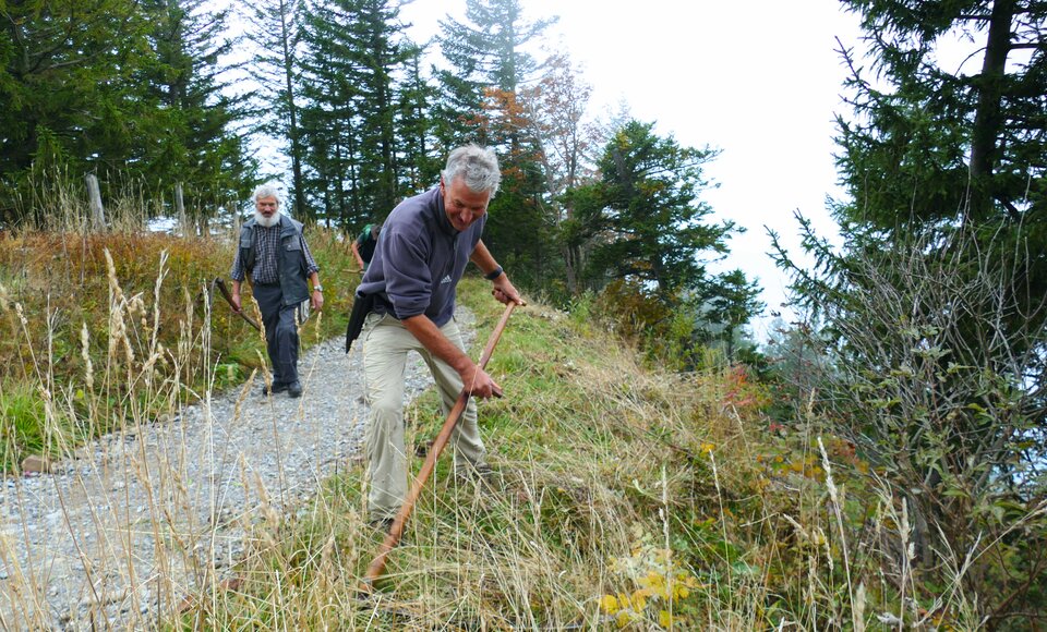 Pro Rigi: Mähen der Wegränder mit der Sense (Bild: Gallus Bucher).