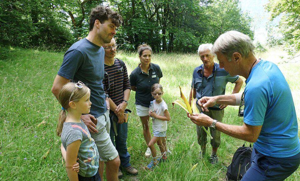 Pro Rigi: Exkursion mit Hans Urs Lütolf (re.) in der Chestenenweid (Bild: Gallus Bucher).